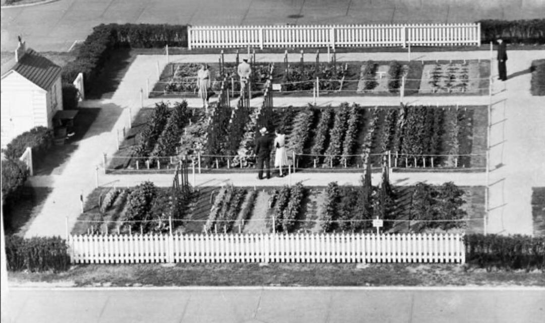 Overhead View of Mall Victory Garden